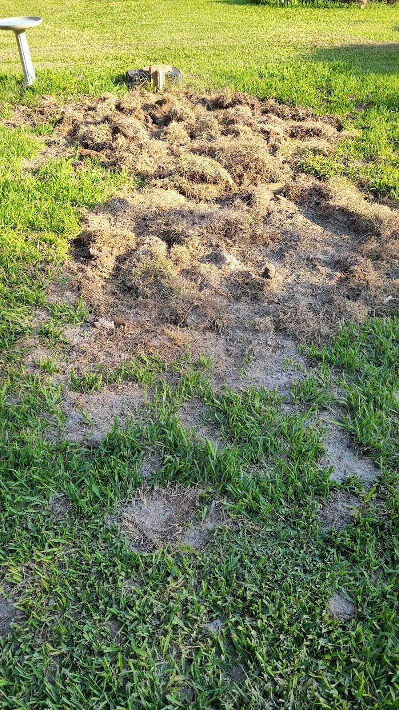 Septic system repair work